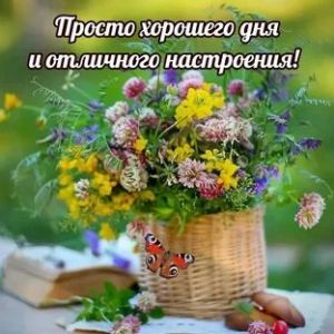 image.thumb.png.fa006304f7a30eef28238a226e1ebdc5.png