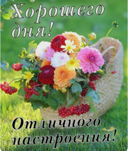 image.thumb.png.fbe7dd51157ab1699cd07eab836d6803.png