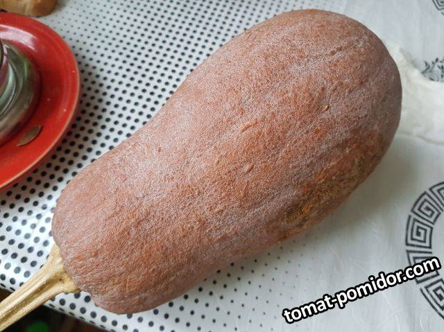 мускатка-найдёныш