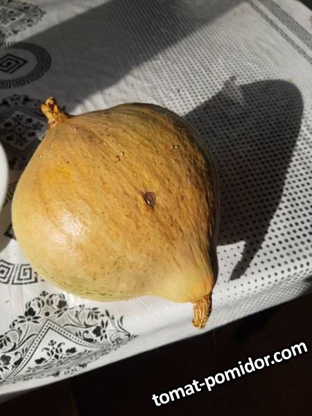 Блу баллет