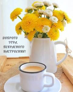 malinkakat_ru_3280.jpg