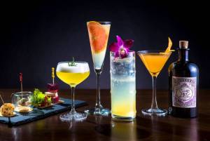 monkey-47-gin-schwarzwald-dry-cocktail-mixes-eh10g51zsno4yjf6.jpg
