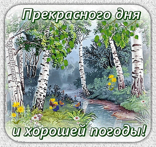 prekrasnogo-dnya-xoroshej-pogody.gif