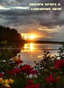 rupix_ru_10718.jpg