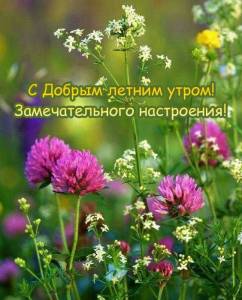 rupix_ru_5983.jpg