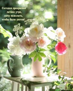 rupix_ru_6067.jpg