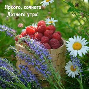 rupix_ru_6119.jpg