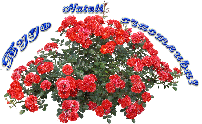 s-dnem-rozhdeniya-natalya-1-8-1.gif