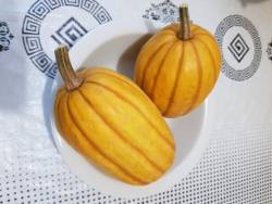 Канди стик деликата