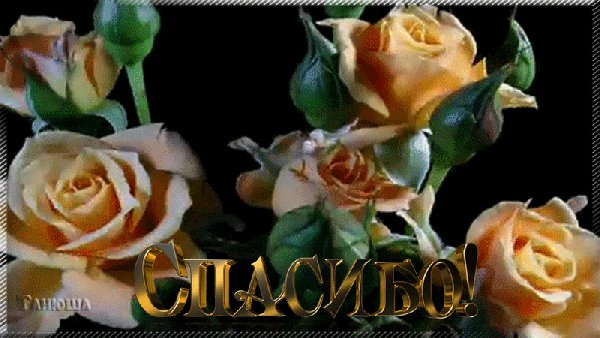 spasibo-cvetushhij-cvetok-gif.gif