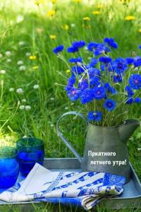 textopics_ru_31101.jpg