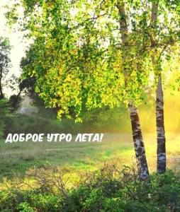 utradobrogo_ru_1005.jpg