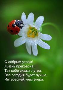 utradobrogo_ru_10973.jpg