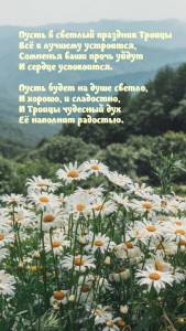 utradobrogo_ru_15910.jpg