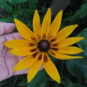 1.thumb.JPG.95f0bbecf90e6fdd589757a545e4a124.JPG