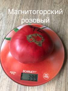 101A7D7F-0237-4FC9-9549-BC7CAC13B3CB.jpeg