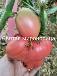 IMG_20250715_162749~2.jpg