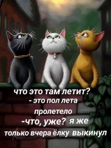 13cf4e05d79d8de516e303a06e37449d.jpg