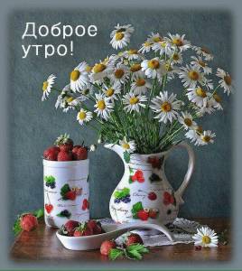 Открытка-с-добрым-летним-утром-доброго-летнего-утра-летнее-утро-7528.jpg