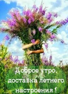 Доброго летнего утра_.jpg