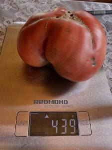 1607848213_2.thumb.jpeg.1806fedbc8c86e70dee7db85c75c1113.jpeg