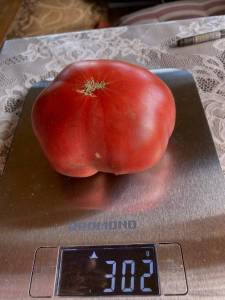 1704530256_2.thumb.jpeg.8f00efc63695da48f096c4369081d1b6.jpeg