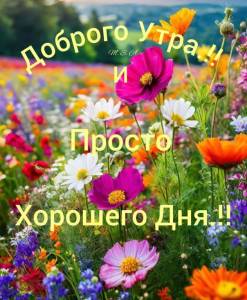1816ee09836afcda750c3aa4ae28b625.jpg
