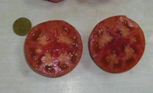 2.thumb.JPG.09b635a320023e8df93c678c6e9af2f0.JPG