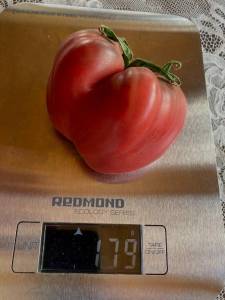 2007638780_.thumb.jpeg.5498d7f1f4039cbc36063e50787b8248.jpeg