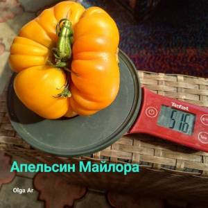 20250703_084657.jpg