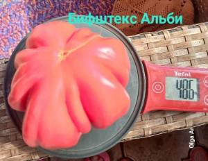 20250703_085123.jpg