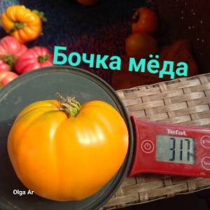 20250703_085720.jpg