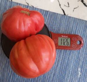 20250704_112334.jpg