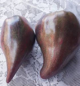 20250706_070804.jpg