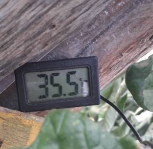 20250707_155349.jpg