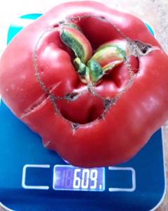20250708_190546.jpg