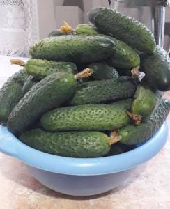 20250710_053538.jpg