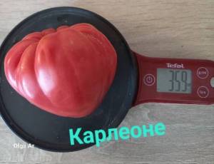20250710_095640.jpg