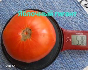 20250713_101201.jpg