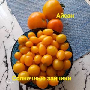 20250713_120737.jpg