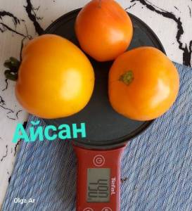 20250713_120804.jpg