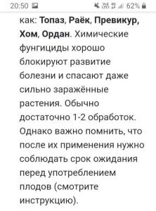 20250715_205122.jpg