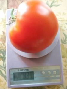 20250724_084412.thumb.jpg.cd422b64bef153a4a13f1842a29e9ead.jpg