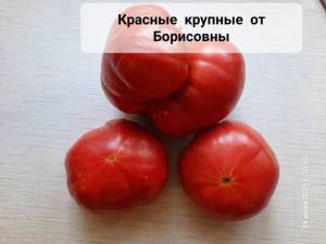 20250724_105205.jpg