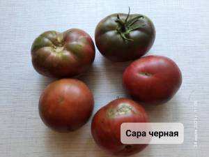 20250724_110808.jpg