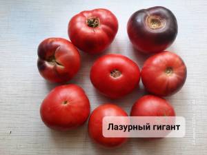 20250724_124416.jpg