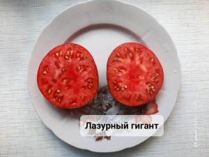 20250724_124609.jpg