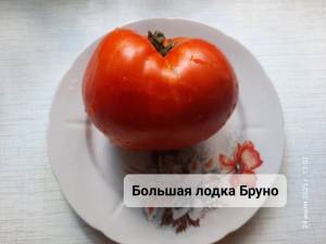 20250724_130253.jpg