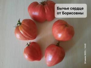20250724_144223.jpg