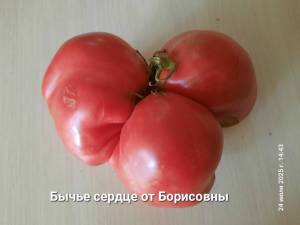 20250724_144308.jpg